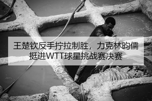 王楚钦反手拧拉制胜，力克林昀儒挺进WTT球星挑战赛决赛